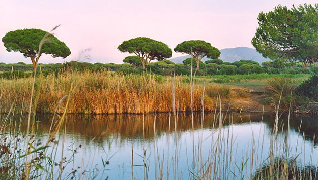 Maremma Nationalpark
