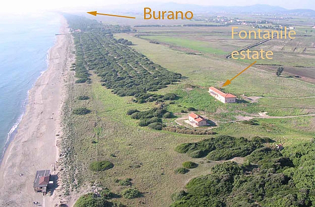 Fontanile estate from above