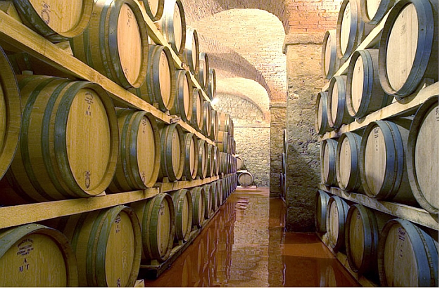 Barrique cellar at Cast. di Bolgheri